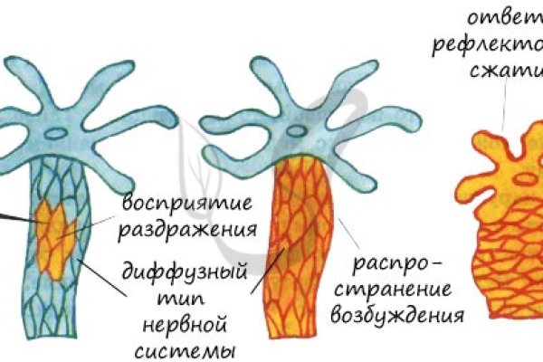 Kra34.gl