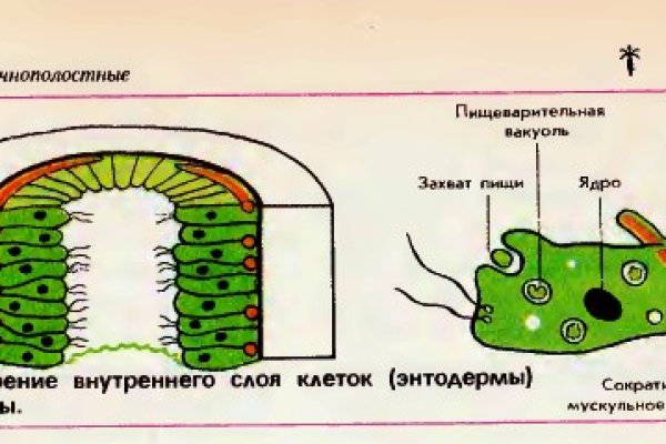 Зеркало кракен kr2web in