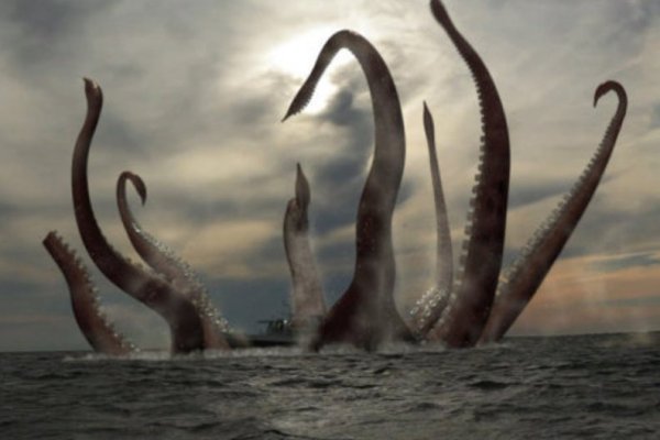 Kraken магазин